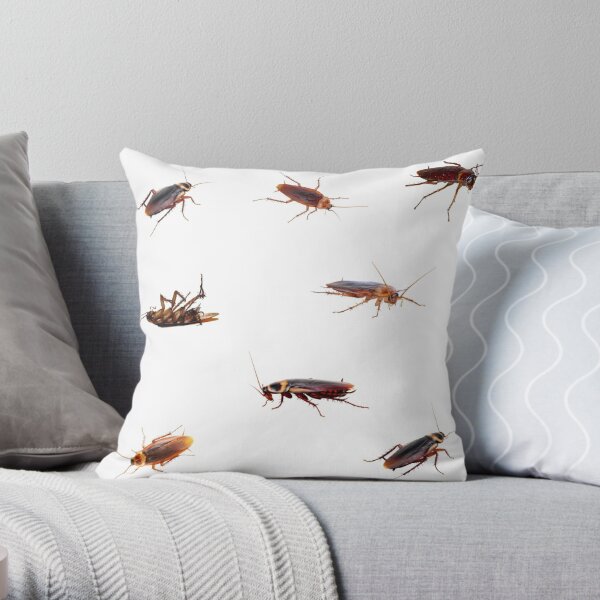 Giant Roach Pillows (4 SIZES) - 22 / 55 cm