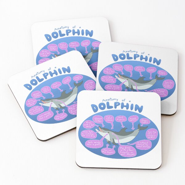 Item preview, Anatomy of a dolphin designed and sold by PigeonGryphon.