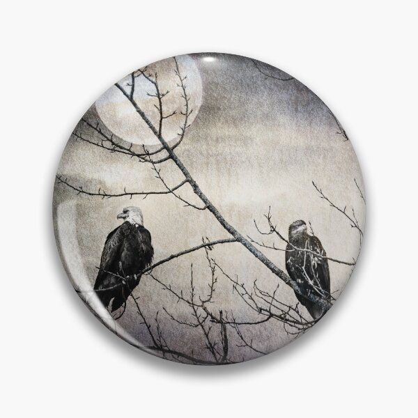 Artikelvorschau, Drei Bald Eagles Nightwatchers Vogelfotografie drucken auf Anfrage entworfen und verkauft von crimsonbamboo.