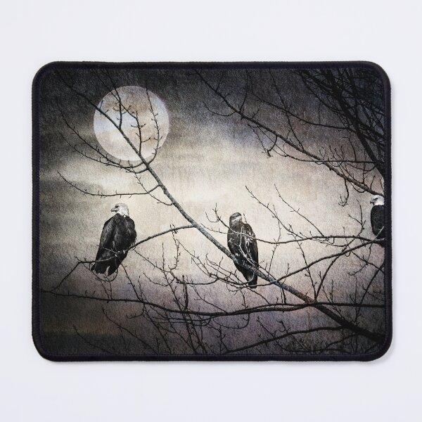 Item preview, Three Bald Eagles Nightwatchers bird photography print on demand designed and sold by crimsonbamboo.