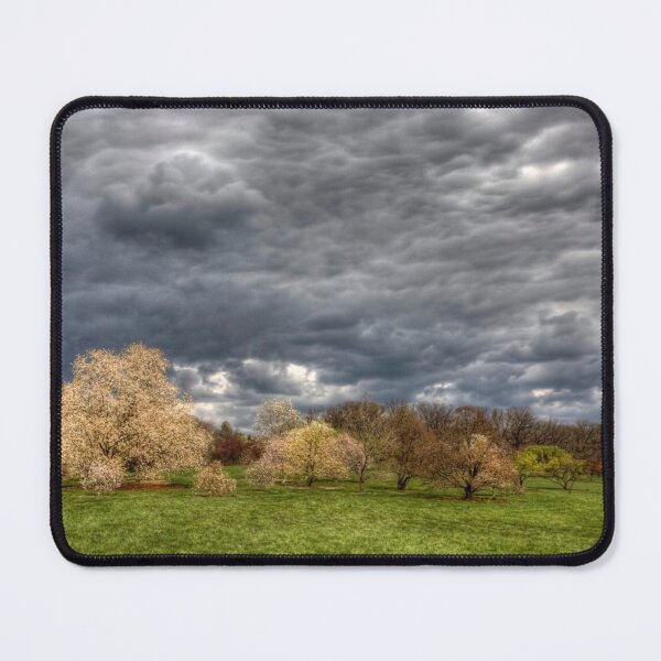 Item preview, Heavy Clouds Over the Arboretum designed and sold by Adam Bykowski.