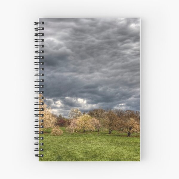 Item preview, Heavy Clouds Over the Arboretum designed and sold by Adam Bykowski.