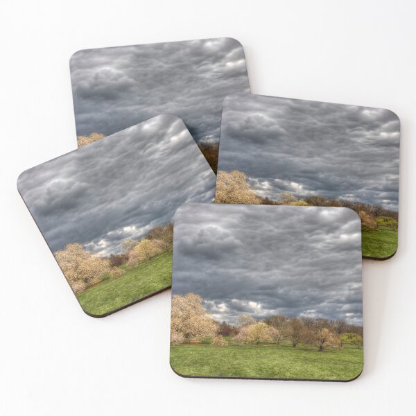 Item preview, Heavy Clouds Over the Arboretum designed and sold by Adam Bykowski.