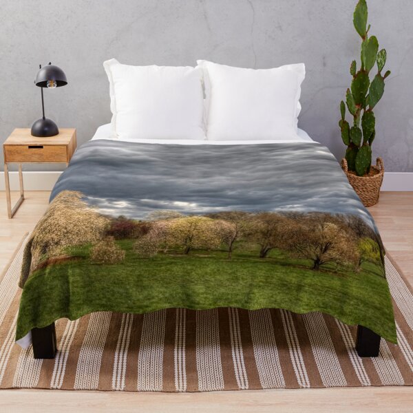 Item preview, Heavy Clouds Over the Arboretum designed and sold by Adam Bykowski.