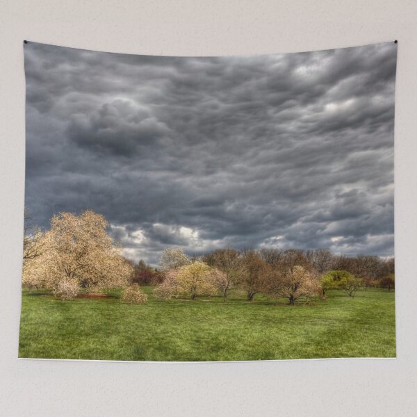 Item preview, Heavy Clouds Over the Arboretum designed and sold by Adam Bykowski.