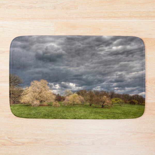 Item preview, Heavy Clouds Over the Arboretum designed and sold by Adam Bykowski.