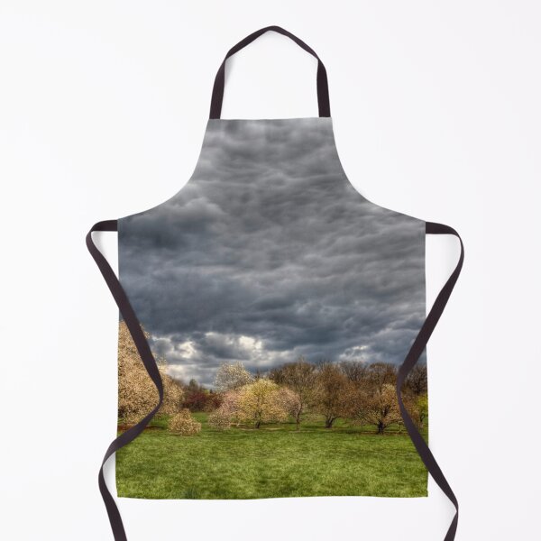 Item preview, Heavy Clouds Over the Arboretum designed and sold by Adam Bykowski.