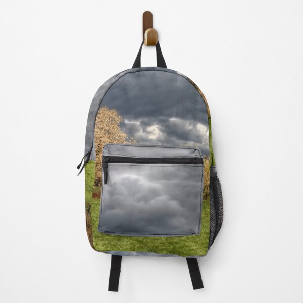 Item preview, Heavy Clouds Over the Arboretum designed and sold by Adam Bykowski.