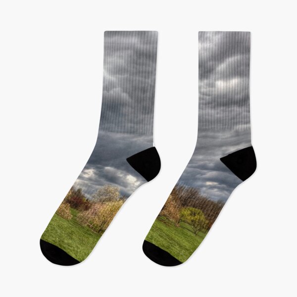 Item preview, Heavy Clouds Over the Arboretum designed and sold by Adam Bykowski.