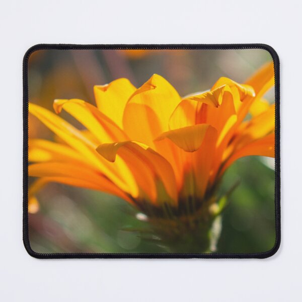 Item preview, Pretty Yellow Flower designed and sold by BarbaraVPhoto.