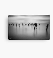 Nineteen Canvas Print