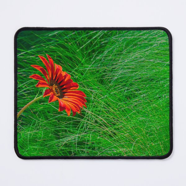 Item preview, Pretty Red Flower in a Green Field designed and sold by BarbaraVPhoto.