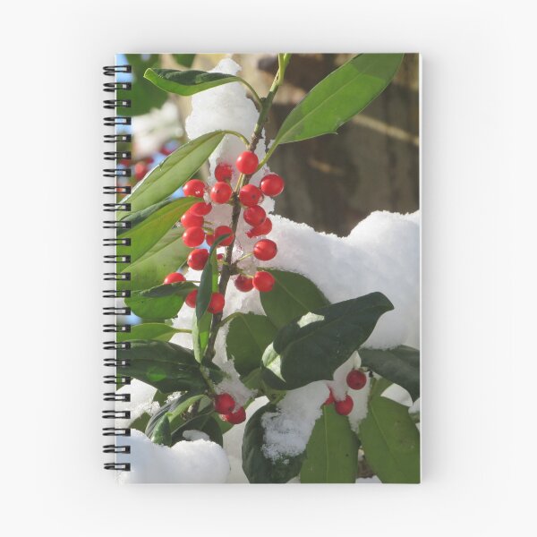 Item preview, Winter View, Snow View, Jersey City, New Jersey designed and sold by lenspiro.