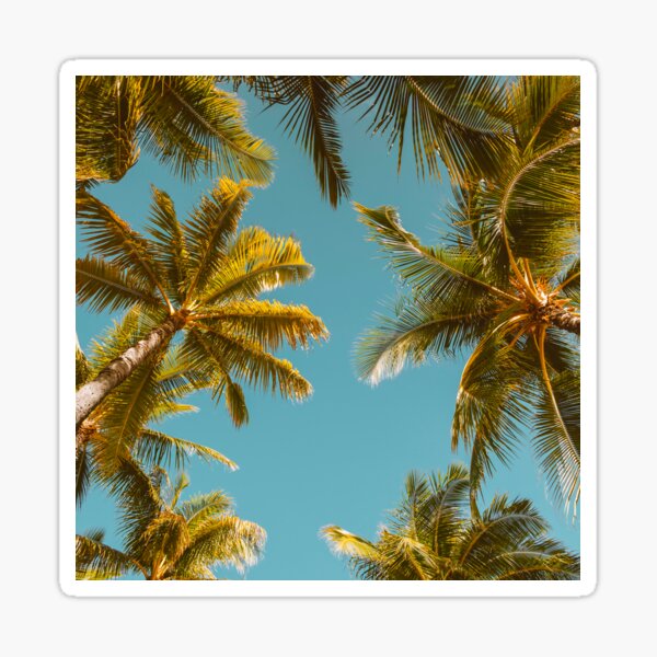 Item preview, Klarer Himmel und Palmen designed and sold by HeatherAP.