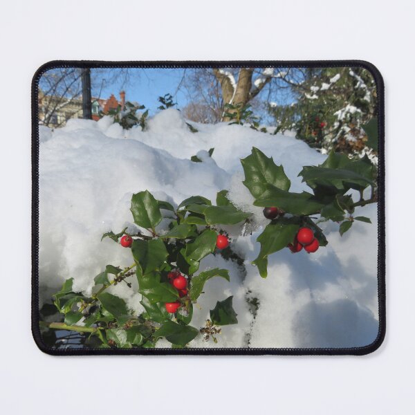 Item preview, Winter View, Snow View, Jersey City, New Jersey designed and sold by lenspiro.