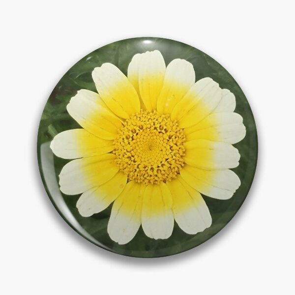 Item preview, chrysanthemum flower designed and sold by lexicolor.