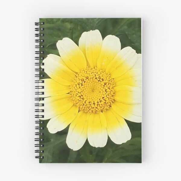 Item preview, chrysanthemum flower designed and sold by lexicolor.