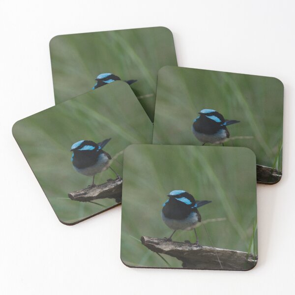 Item preview, Bold blue wren designed and sold by notjustamwac.