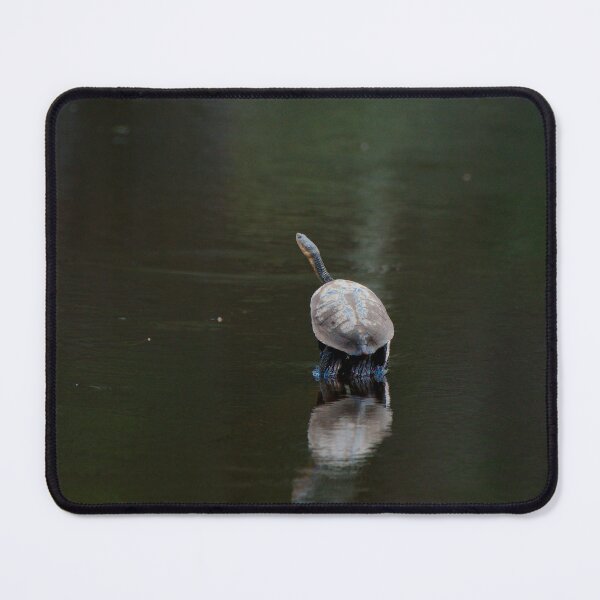 Item preview, sunning turtle designed and sold by notjustamwac.