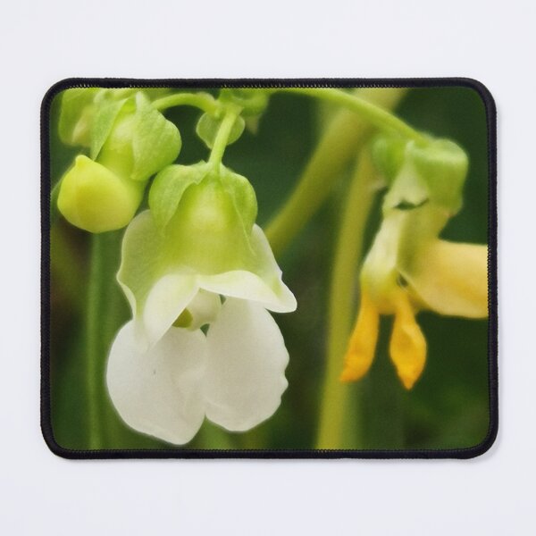 Item preview, blossoming bean flowers designed and sold by lexicolor.