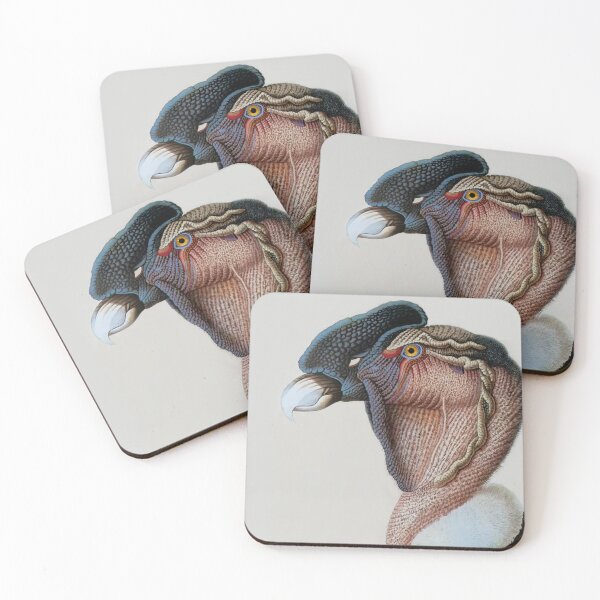 Item preview, Andean Condor (Vultur gryphus) Painting designed and sold by TheCurators.