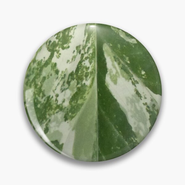 Item preview, Syngonium Fantasy Leaf Pattern designed and sold by TropicalFronds.
