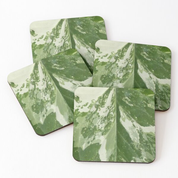 Item preview, Syngonium Fantasy Leaf Pattern designed and sold by TropicalFronds.