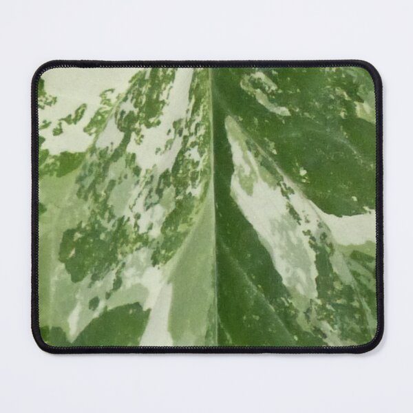 Item preview, Syngonium Fantasy Leaf Pattern designed and sold by TropicalFronds.