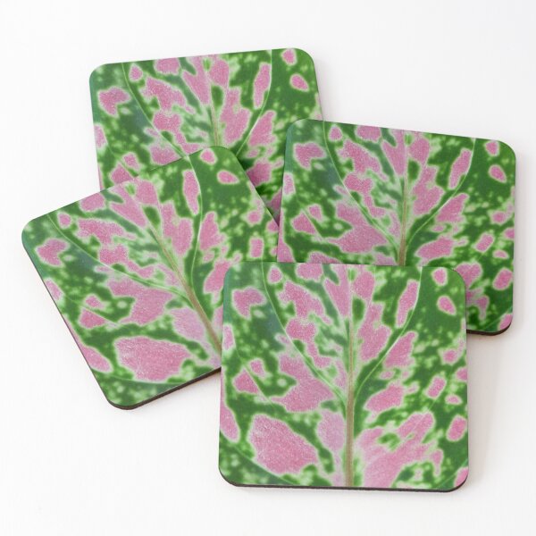 Item preview, Aglaeonema Pink Lady Leaf Pattern designed and sold by TropicalFronds.