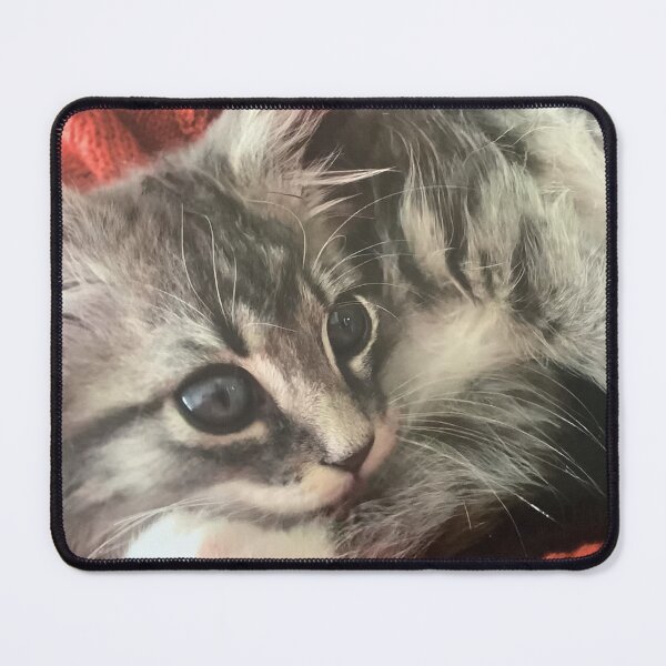 Item preview, Kitten grey by Suzanne Beasley  designed and sold by Jacinta hunt.
