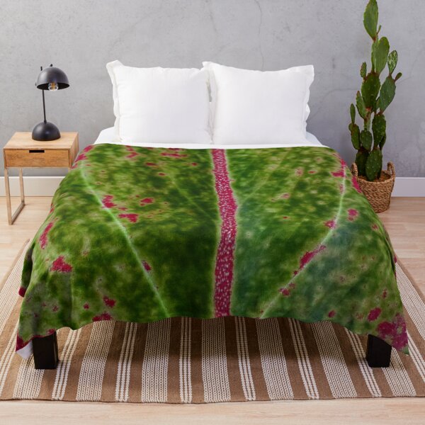 Item preview, Aglaeonema Siam Aurora designed and sold by TropicalFronds.