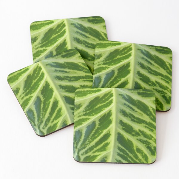 Item preview, Syngonium Batik designed and sold by TropicalFronds.
