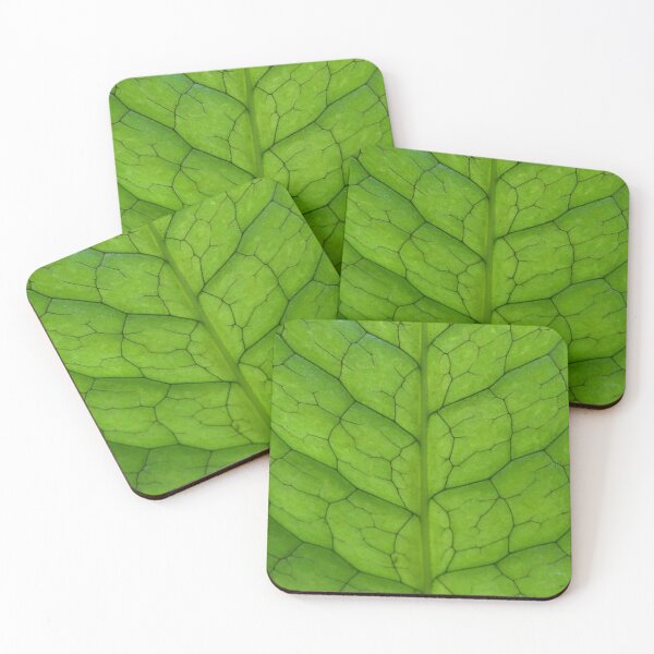 Item preview, Crocodylus Fern Leaf Pattern designed and sold by TropicalFronds.