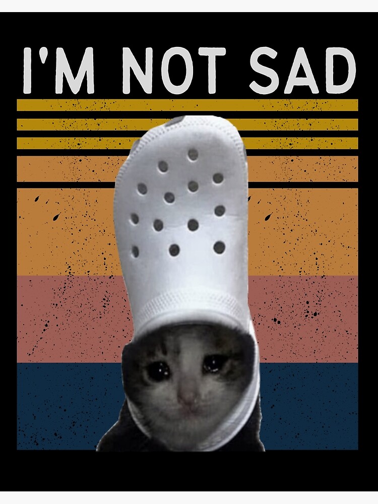 A crying cat meme with no text