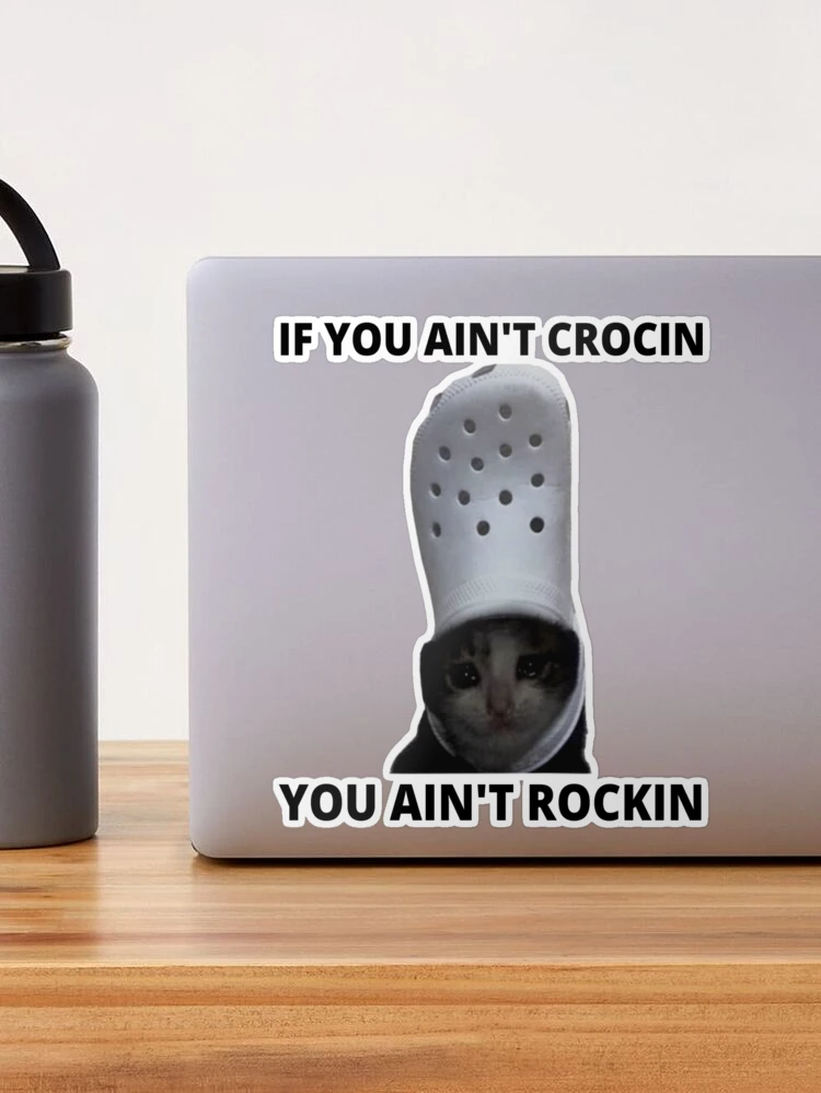 Thanks I hate cat crocs : r/TIHI