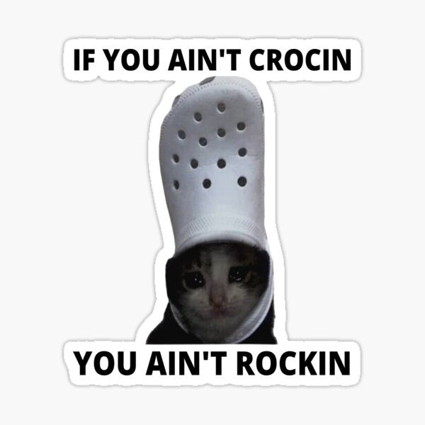 cat & dog crocs meme Sticker for Sale by Carina Jade