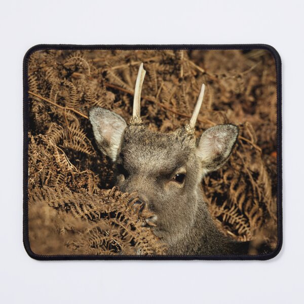 Item preview, Sika Deer designed and sold by Christian Moss.