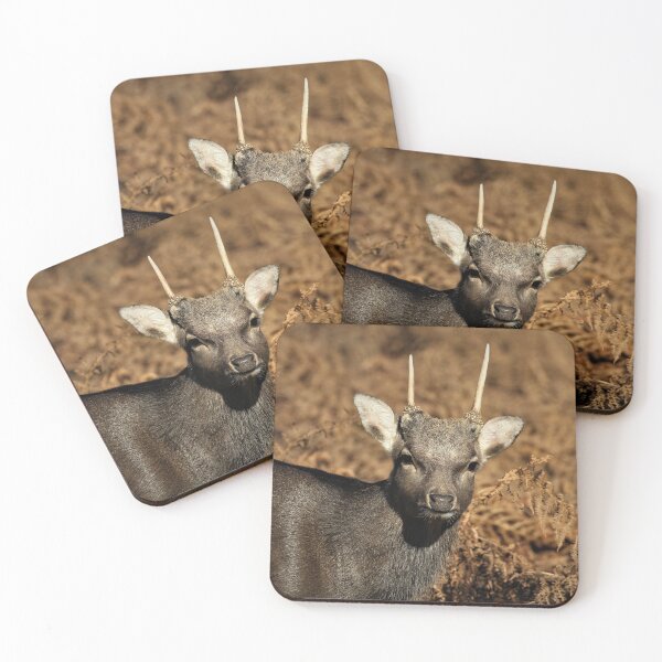 Item preview, Sika Deer designed and sold by Christian Moss.