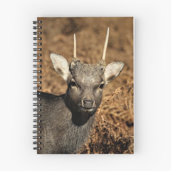 Item preview, Sika Deer designed and sold by Christian Moss.
