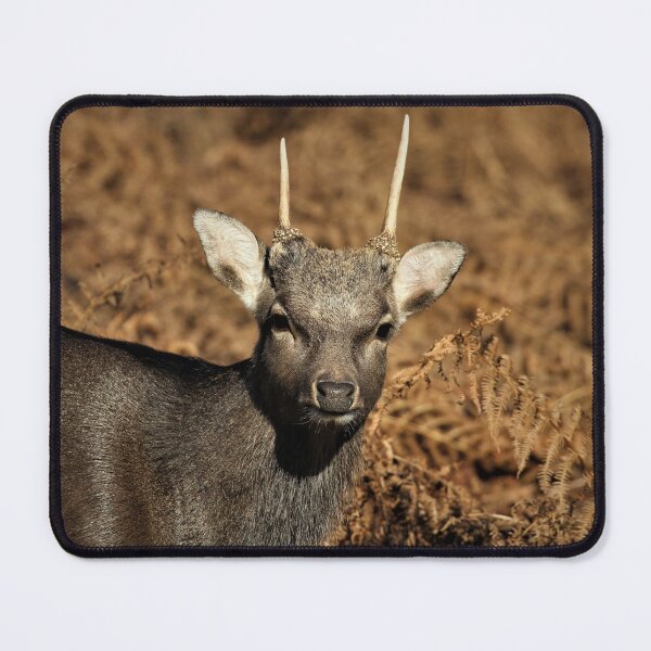 Item preview, Sika Deer designed and sold by Christian Moss.
