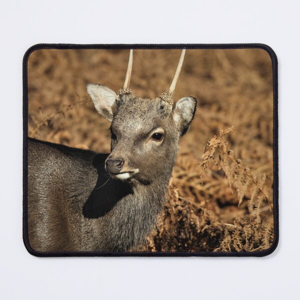 Item preview, Sika Deer designed and sold by Christian Moss.