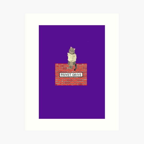 Professor Mcgonagall reading the prophet Art Print