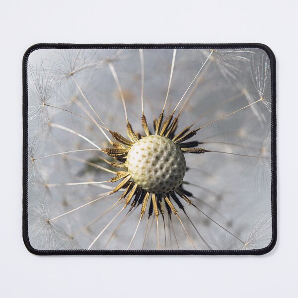 Item preview, Dandelion Detail Close Up designed and sold by imaginethis.