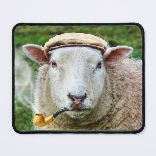 Item preview, Proud To Be A Yorkshire Sheep designed and sold by Alisonchambers2.
