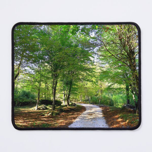 Item preview, The path designed and sold by annalisa56.