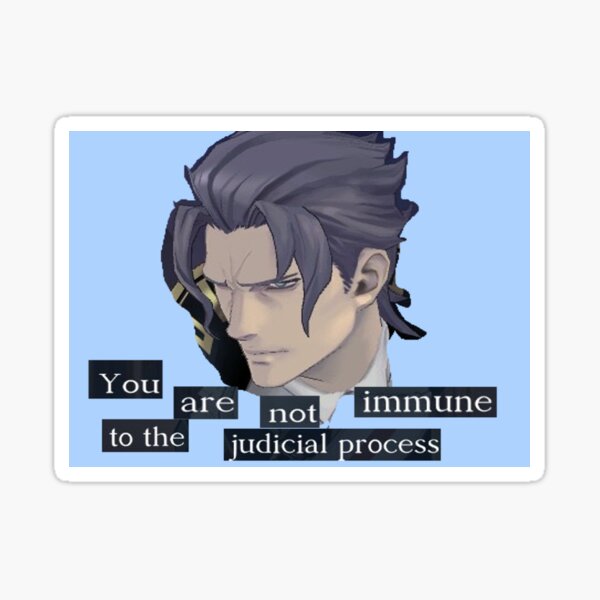 you are not immune to the judicial process Sticker