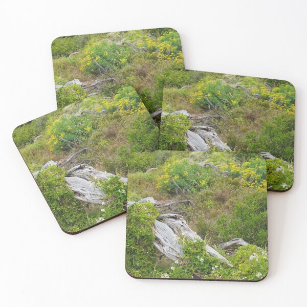 Item preview, Regenerating coastal dunes  designed and sold by jayview.