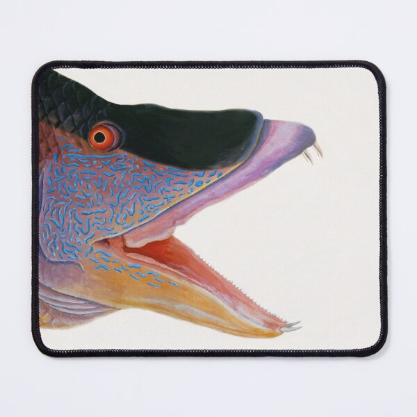 Item preview, Great Hogfish by Mark Catesby (modified with photo filters) designed and sold by TheCurators.
