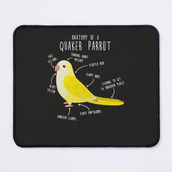 Item preview, Anatomy of a Lutino Quaker Parrot Classic designed and sold by paulaemeliaur.