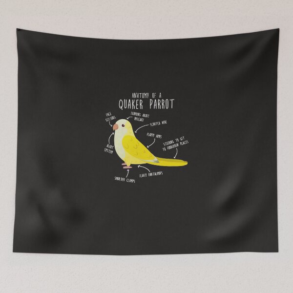 Item preview, Anatomy of a Lutino Quaker Parrot Classic designed and sold by paulaemeliaur.